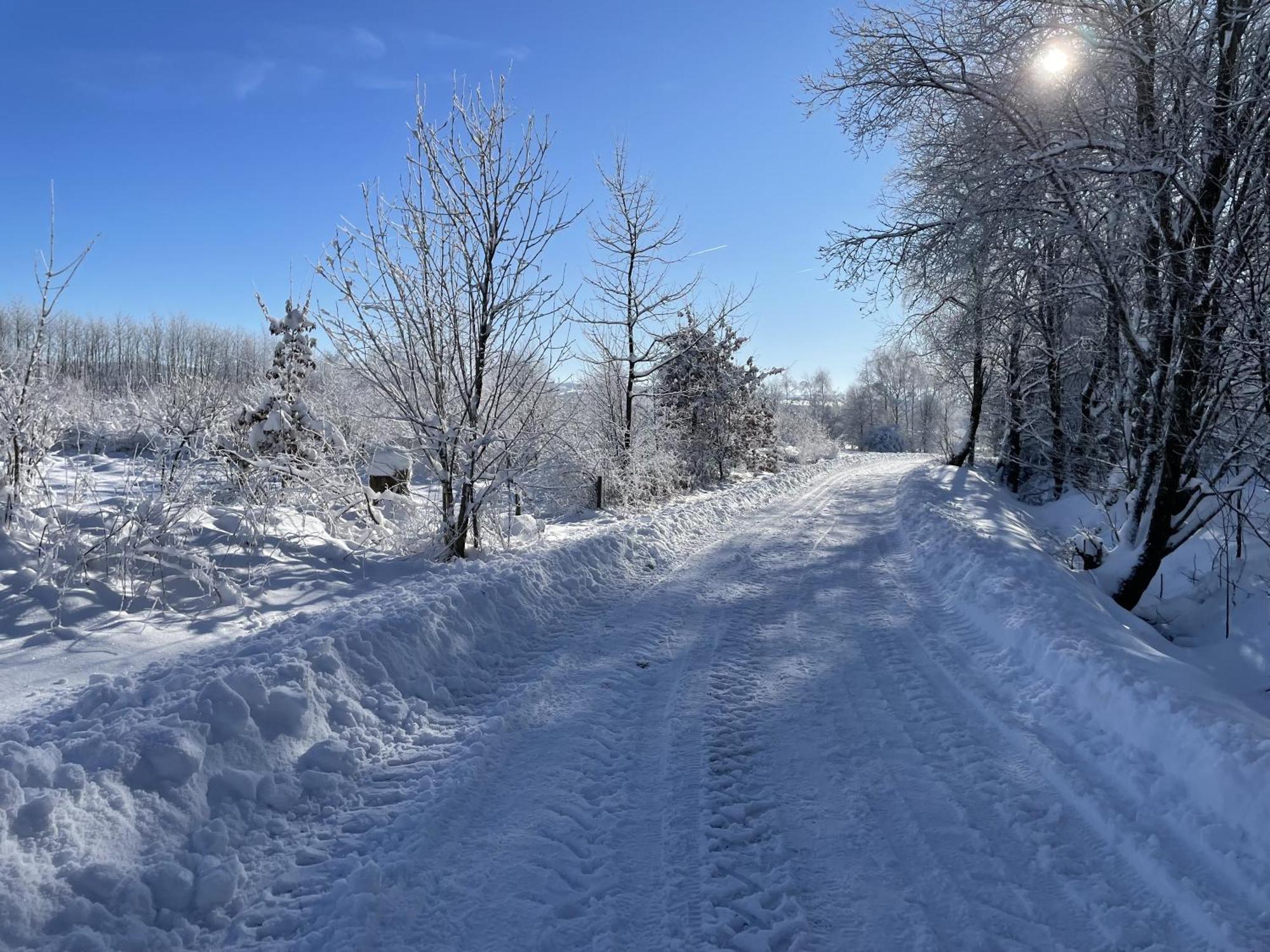 Gittas Paradiesperle Niederdreisbach Εξωτερικό φωτογραφία